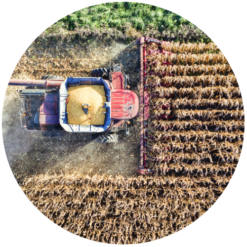 NR 31 I Segurança e Saúde no Trabalho na Agricultura - Formação (20 Horas)