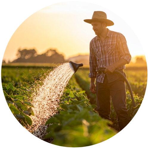 NR 31 I CIPA Trabalho Rural - Formação (20 Horas)