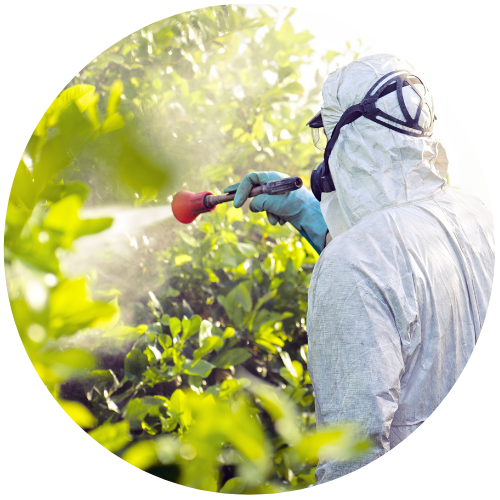 NR 31 I Prevenção de Acidentes com Agrotóxicos - Formação (20 Horas)